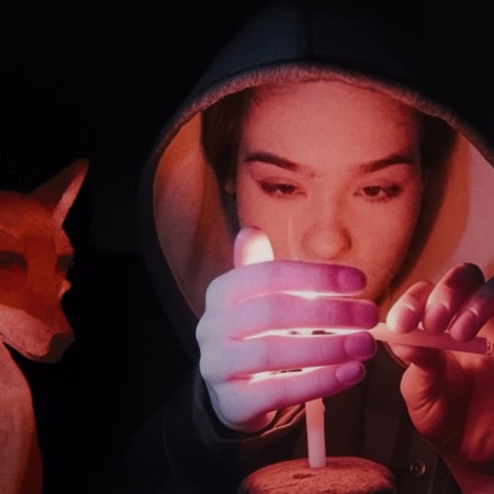 A Fox Under A Pink Moon
